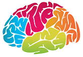 Cerebro niños